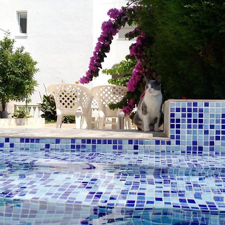 Apartment Barski Εξωτερικό φωτογραφία