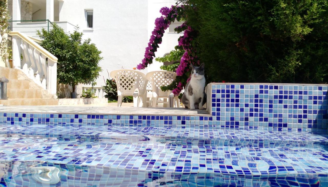 Apartment Barski Εξωτερικό φωτογραφία
